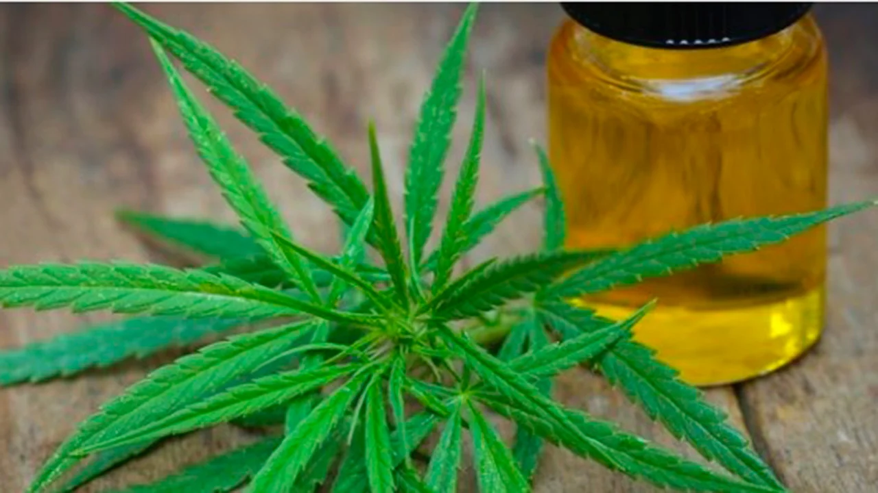 Getting the dose right – Beginner tips for using delta 8 carts