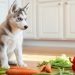 Are You Overfeeding Snacks? An Analytical Look at Healthy Dog Treats and Calorie Control
